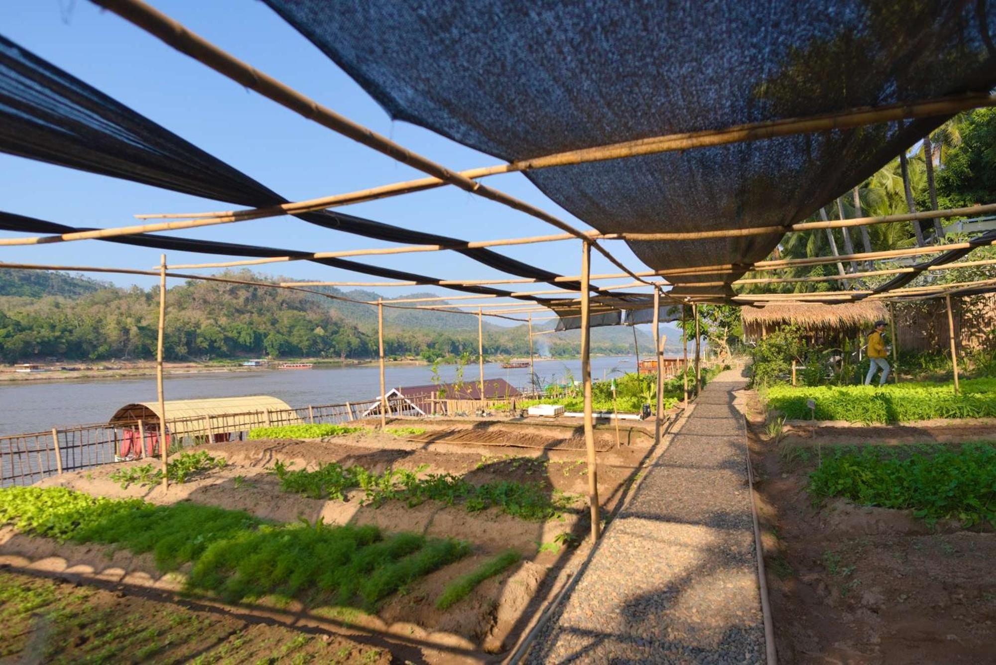 The Belle Rive Boutique Hotel Luang Prabang Eksteriør bilde